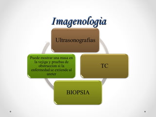 ImagenologiaImagenologia
 