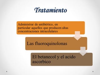 TratamientoTratamiento
 