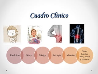 Cuadro ClinicoCuadro Clinico
 