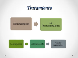 TratamientoTratamiento
 