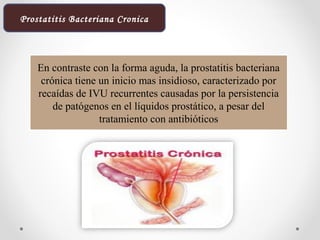 En contraste con la forma aguda, la prostatitis bacteriana
crónica tiene un inicio mas insidioso, caracterizado por
recaídas de IVU recurrentes causadas por la persistencia
de patógenos en el líquidos prostático, a pesar del
tratamiento con antibióticos
Prostatitis Bacteriana Cronica
 