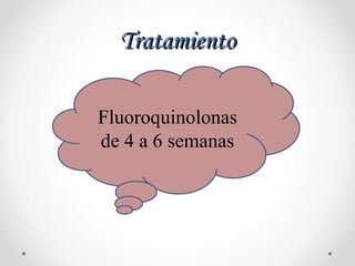 TratamientoTratamiento
Fluoroquinolonas
de 4 a 6 semanas
 