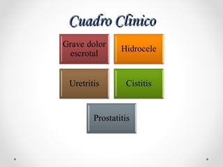 Cuadro ClinicoCuadro Clinico
 