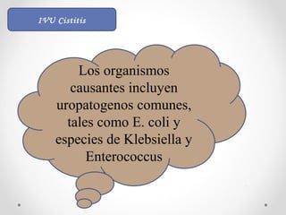 Los organismos
causantes incluyen
uropatogenos comunes,
tales como E. coli y
especies de Klebsiella y
Enterococcus
IVU Cistitis
 