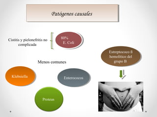 Patógenos causalesPatógenos causales
Cistitis y pielonefritis no
complicada
80%
E. Coli
80%
E. Coli
KlebsiellaKlebsiella
Proteus
EnterococosEnterococos
Menos comunes
Estreptococo ß
hemolítico del
grupo B
Estreptococo ß
hemolítico del
grupo B
 
