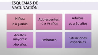 ESQUEMAS DE
VACUNACIÓN
Niños:
0 a 9 años
Adolescentes:
10 a 19 años
Adultos:
20 a 60 años
Adultos
mayores:
>60 años
Embarazo
Situaciones
especiales
 