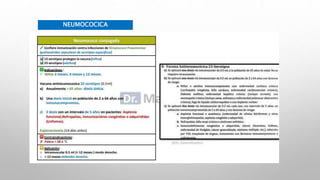 NEUMOCOCICA
 