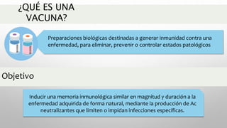 ¿QUÉ ES UNA
VACUNA?
Preparaciones biológicas destinadas a generar inmunidad contra una
enfermedad, para eliminar, prevenir o controlar estados patológicos
Objetivo
Inducir una memoria inmunológica similar en magnitud y duración a la
enfermedad adquirida de forma natural, mediante la producción de Ac
neutralizantes que limiten o impidan infecciones específicas.
 