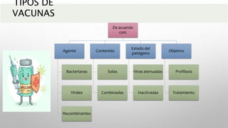 TIPOS DE
VACUNAS
De acuerdo
con:
Agente
Bacterianas
Virales
Recombinantes
Contenido
Solas
Combinadas
Estado del
patógeno
Vivas atenuadas
Inactivadas
Objetivo
Profilaxis
Tratamiento
 