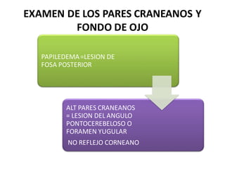 EXAMEN DE LOS PARES CRANEANOS Y
FONDO DE OJO
PAPILEDEMA =LESION DE
FOSA POSTERIOR

ALT PARES CRANEANOS
= LESION DEL ANGULO
PONTOCEREBELOSO O
FORAMEN YUGULAR
NO REFLEJO CORNEANO

 
