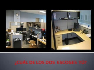 SEGUNDA “S”SeitonOrganizar“El arte de cada cosa en su lugar para su rápido uso”