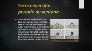Seroconversión
periodo de ventana
 Primer estadío de la infección, es
decir que, a pesar de un resultado
negativo (no reactivo), la persona
puede estar infectada y, por lo tanto,
transmitir el virus, debido a que el
organismo no ha tenido aún tiempo
de desarrollar la suficiente cantidad
de anticuerpos en la sangre para ser
detectados a través del Test de Elisa.
 