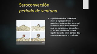  El período ventana, se extiende
desde el ingreso del virus al
organismo hasta que éste genera el
número de anticuerpos necesario
para ser captados por las pruebas.
Es por este motivo que se debe
repetir la prueba en un período de 3
meses para asegurar el resultado
Seroconversión
periodo de ventana
 