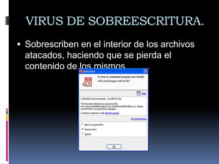 VIRUS DE SOBREESCRITURA.
 Sobrescriben en el interior de los archivos
  atacados, haciendo que se pierda el
  contenido de los mismos.
 