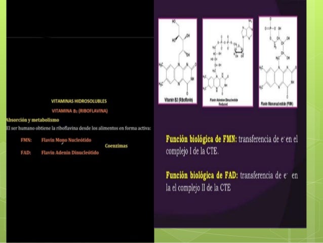 vitaminas hidrosolubles y liposolubles y funcion conenzimatica vitaminas hidrosolubles y liposolubles y funcion conenzimatica