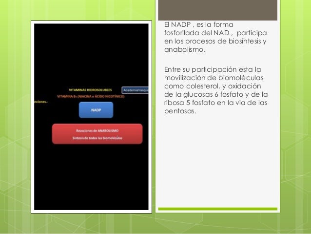 vitaminas hidrosolubles y liposolubles y funcion conenzimatica vitaminas hidrosolubles y liposolubles y funcion conenzimatica