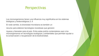 Perspectivas
Los microorganismos tienen una influencia muy significativa en los sistemas
biológicos y biotecnológicos.3, 6
En este sentido, la diversidad microbiana es también un
recurso para elaborar tecnologías novedosas que generen
riqueza y bienestar para el país. Entre estas podría contemplarse usar a los
microorganismos en tecnologías ecológicas y ambientales que permitan ayudar a
la conservación o recuperación de la biodiversidad.
 