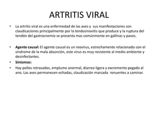 ARTRITIS VIRAL
•

La artritis viral es una enfermedad de las aves y sus manifestaciones son
claudicaciones principalmente por la tendosinovitis que produce y la ruptura del
tendón del gastrocnemio se presenta mas comúnmente en gallinas y pavos.

•

Agente causal: El agente causal es un reovirus, estrechamente relacionado con el
síndrome de la mala absorción, este virus es muy resistente al medio ambiente y
desinfectantes.
Síntomas:
Hay pollos retrasados, emplume anormal, diarrea ligera y excremento pegado al
ano. Las aves permanecen echadas, claudicación marcada renuentes a caminar.

•
•

 