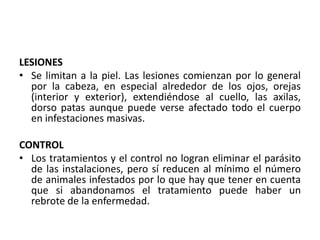 LESIONES
• Se limitan a la piel. Las lesiones comienzan por lo general
por la cabeza, en especial alrededor de los ojos, orejas
(interior y exterior), extendiéndose al cuello, las axilas,
dorso patas aunque puede verse afectado todo el cuerpo
en infestaciones masivas.
CONTROL
• Los tratamientos y el control no logran eliminar el parásito
de las instalaciones, pero sí reducen al mínimo el número
de animales infestados por lo que hay que tener en cuenta
que si abandonamos el tratamiento puede haber un
rebrote de la enfermedad.

 