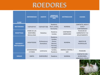 ENFERMEDAD

AGENTE

ANIMALES
INVOLUCRA
DOS

DISTRIBUCION

BACTERIANAS

Leptospirosis

Leptospira Spp

Roedores,
Perro, cerdos,
Rumiantes.

MUNDIAL

RICKETTSIAS

FIEBRE DE LAS
MONTAÑAS
ROCALLOSAS

Rickettsia

Roedores
Canidos

CONTINENTE
AMERICANO

CAUSAS

CLASE

VIRALES

Echinococcus
Granulosus

LEISHMANIOSIS
CUTANEA

CESTODOS Y
PROTOZOARIOS

HODATIDOSIS

Leishmania

HANTA

BUNYAVIRUS

CONTACTO, AGUA Y
SUELO
CONTAMINADO
PICADURA DE
GARRAPASTA Y SU
APLASTAMIENTO

Roedores,
Canidos,
Ovinos,
Bovinos,
Porcinos,
Venados
Canidos,
Roedores

MUNDIAL

INGESTA DE
HUEVECILLOS

AMERICA CENTRAL Y
SUR

PICADURA

Roedores

MUNDIAL

CONTACTO CON
SECRECIONES,
AEROSOLES, POLVO

 
