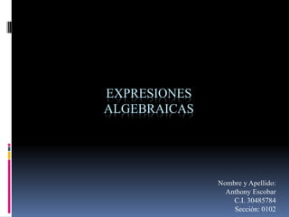 EXPRESIONES
ALGEBRAICAS
Nombre y Apellido:
Anthony Escobar
C.I. 30485784
Sección: 0102
 