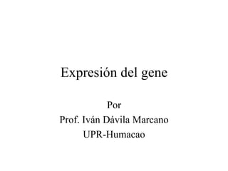 Expresión del gene Por Prof. Iván Dávila Marcano UPR-Humacao 
