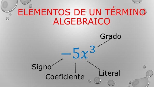 Expresión algebraica