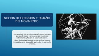 NOCIÓN DE EXTENSIÓN Y TAMAÑO
DEL MOVIMIENTO
Está asociada con la estructura del cuerpo humano
que puede crecer y encogerse por medio del
estiramiento y flexión de las articulaciones.
Laban distinguía el espacio en general del espacio
inmediatamente alcanzable que rodea el cuerpo, la
kinesfera.
 