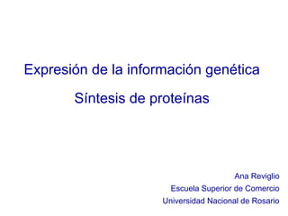 Expresión de la información genética
       Síntesis de proteínas




                                        Ana Reviglio
                       Escuela Superior de Comercio
                     Universidad Nacional de Rosario
 