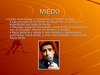 MIEDO •  Cejas levantadas y contraídas al mismo tiempo.  • Las arrugas de la frente se sitúan en el centro y no extendidas por toda la frente.  • Párpado superior levantado, mostrando la esclerótica, con el párpado inferior en tensión y alzado.  • Boca abierta y labios o bien tensos y ligeramente contraídos hacia atrás, o bien estrechados y contraídos hacia atrás.  