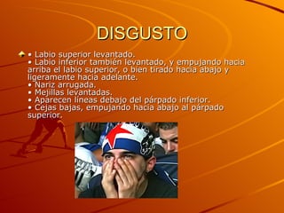 DISGUSTO •  Labio superior levantado.  • Labio inferior también levantado, y empujando hacia arriba el labio superior, o bien tirado hacia abajo y ligeramente hacia adelante.  • Nariz arrugada.  • Mejillas levantadas.  • Aparecen líneas debajo del párpado inferior.  • Cejas bajas, empujando hacia abajo al párpado superior.  