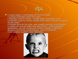 IRA •  Cejas bajas y contraídas al mismo tiempo.  • Líneas verticales entre las cejas.  • Párpado inferior tenso ; puede estar levantado o no.  • Párpado superior tenso, puede estar bajo o no por la acción de las cejas.  • Mirada dura en los ojos, que pueden parecer prominentes.  • Labios en una de estas dos posiciones : continuamente apretados, con las comisuras rectas o bajas, o abiertos, tensos y en forma cuadrangular, como si gritaran.  • Las pupilas pueden estar dilatadas.  