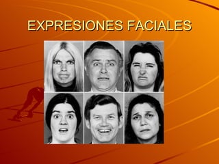 EXPRESIONES FACIALES 