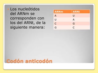 Codón anticodón
 Los nucleótidos
del ARNm se
corresponden con
los del ARNt, de la
siguiente manera:
ARNm ARNt
A U
U A
C G
G C
 