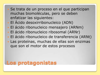 Los protagonistas
 Se trata de un proceso en el que participan
muchas biomoléculas, pero se deben
enfatizar las siguientes:
 El Ácido desoxirribonucleico (ADN)
 El ácido ribonucleico mensajero (ARNm)
 El ácido ribonucleico ribosomal (ARNr)
 El ácido ribonucleico de transferencia (ARNt)
 Las proteínas, muchas de ellas son enzimas
que son el motor de estos procesos
 