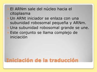 Iniciación de la traducción
 El ARNm sale del núcleo hacia el
citoplasma
 Un ARNt iniciador se enlaza con una
subunidad robosomal pequeña y ARNm.
 Una subunidad robosomal grande se une.
 Este conjunto se llama complejo de
iniciación
 