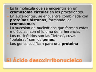 El Ácido desoxirribonucleico
 Es la molécula que se encuentra en un
cromosoma circular en los procariontes.
 En eucariontes, se encuentra combinada con
proteínas histonas, formando los
cromosomas
 La sucesión de nucleótidos que forman estas
moléculas, son el idioma de la herencia.
 Los nucleótidos son las “letras”, cuyas
“palabras” son los genes.
 Los genes codifican para una proteína
 