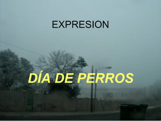 EXPRESION DÍA DE PERROS 
