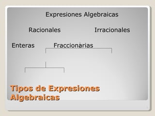 Tipos de Expresiones Algebraicas Expresiones Algebraicas Racionales  Irracionales Enteras  Fraccionarias 