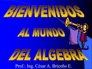 Prof.: Ing. César A. Briceño E.
 