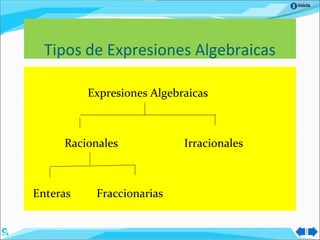 Inicio
Tipos de Expresiones Algebraicas
Expresiones Algebraicas
Racionales Irracionales
Enteras Fraccionarias
 