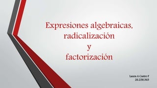 Expresiones algebraicas,
radicalización
y
factorización
Laura A Castro F
26.238.363
 