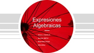 Expresiones
Algebraicas
• Arturo J. Cabrita D.
• Sección: IN0114
• Matemática Inicial
• Informática
 