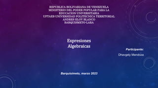 Participante:
Dhavgely Mendoza
Barquisimeto, marzo 2023
REPUBLICA BOLIVARIANA DE VENEZUELA
MINISTERIO DEL PODER POPULAR PARA LA
EDUCACION UNIVERSITARIA
UPTAEB UNIVERSIDAD POLITECNICA TERRITORIAL
ANDRES ELOY BLANCO
BARQUISMETO-LARA
Expresiones
Algebraicas
 