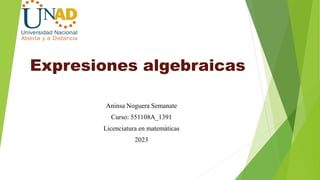 Expresiones algebraicas
Aninsa Noguera Semanate
Curso: 551108A_1391
Licenciatura en matemáticas
2023
 