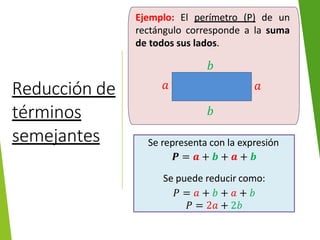 Reducción de
términos
semejantes
Ejemplo: El perímetro (P) de un
rectángulo corresponde a la suma
de todos sus lados.
𝑎 𝑎
𝑏
𝑏
Se representa con la expresión
𝑷 = 𝒂 + 𝒃 + 𝒂 + 𝒃
Se puede reducir como:
𝑃 = 𝑎 + 𝑏 + 𝑎 + 𝑏
𝑃 = 2𝑎 + 2𝑏
 