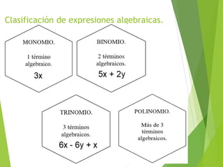 Clasificación de expresiones algebraicas.
 