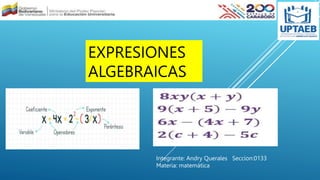 EXPRESIONES
ALGEBRAICAS
Integrante: Andry Querales Seccion:0133
Materia: matemática
 