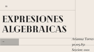 EXPRESIONES
ALGEBRAICAS
Arianna Torres
30.105.851
Seccion: 0101
01
 