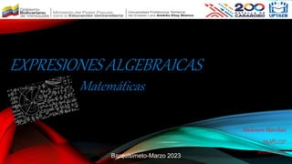 EXPRESIONES ALGEBRAICAS
Anderson Marchan
29,587,737
Sección 0203
Matemáticas
Barquisimeto-Marzo 2023
 